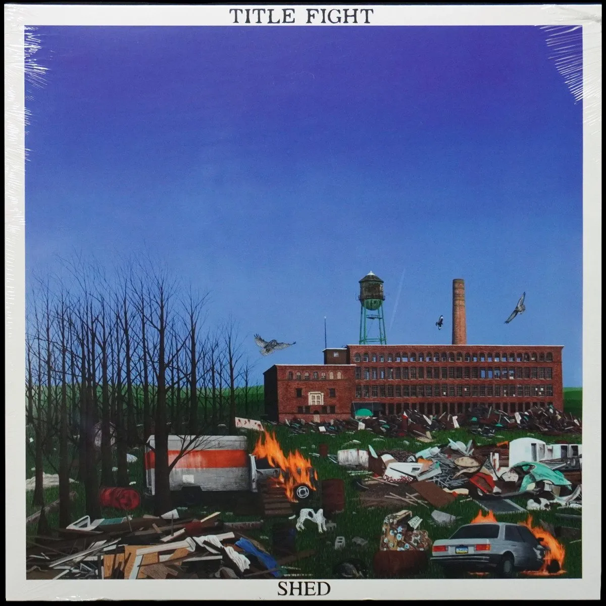 LP Title Fight — Shed фото