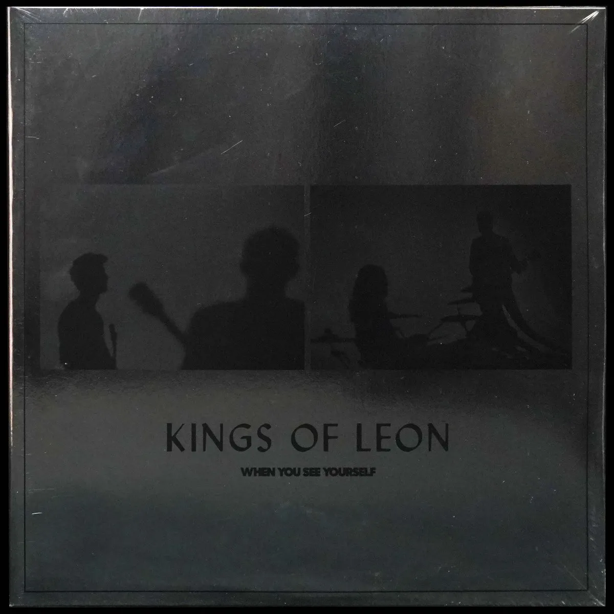 LP Kings Of Leon — When You See Yourself (2LP, цветной винил, + буклет) фото