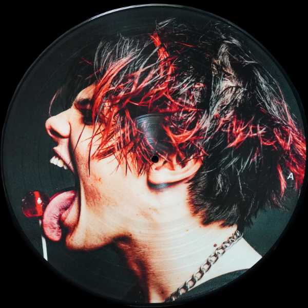 LP Yungblud — Yungblud (picture disc (пикчер диск)) фото 3