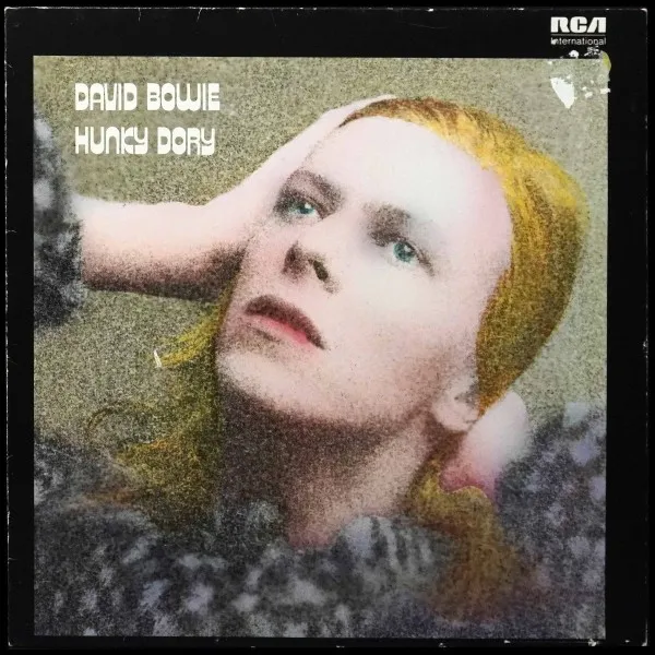 Hunky Dory