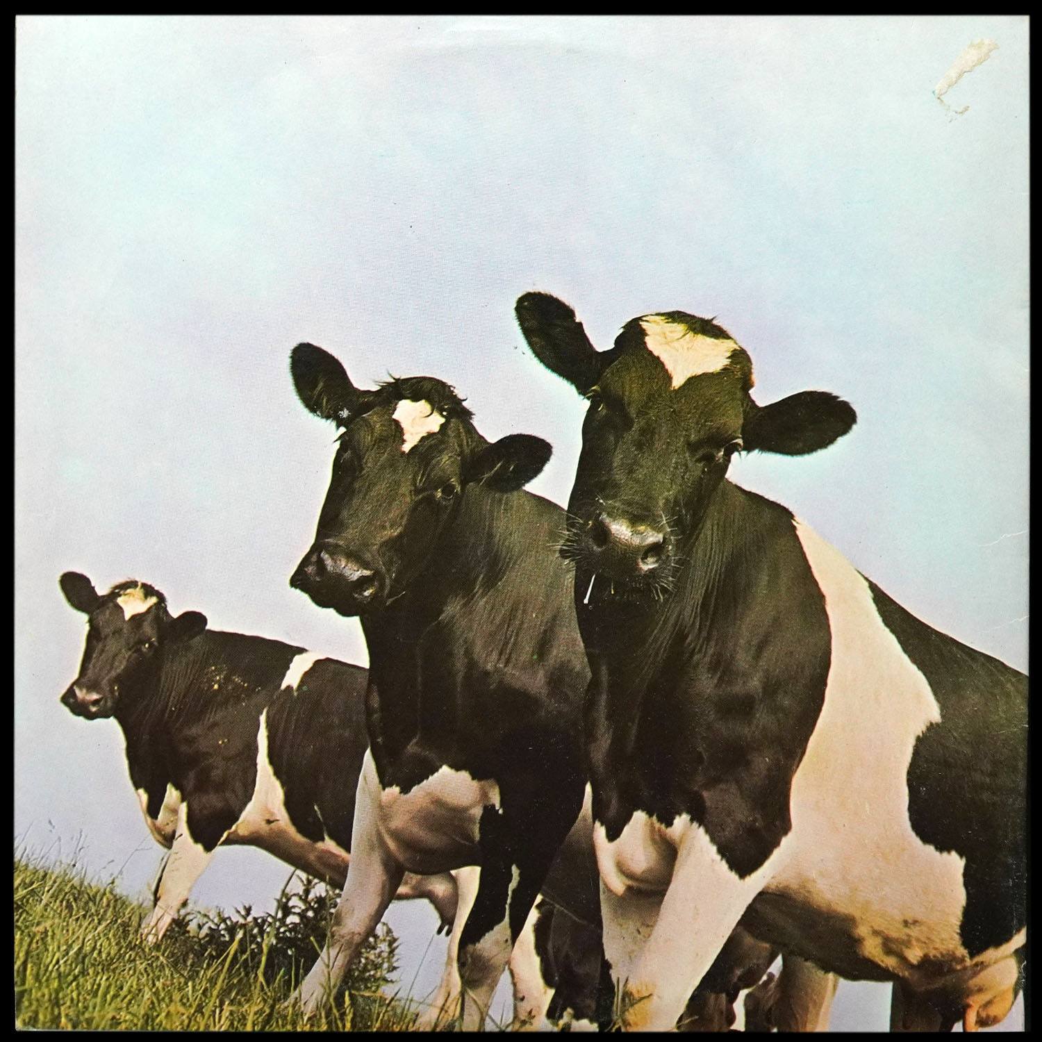 LP Pink Floyd — Atom Heart Mother фото 2
