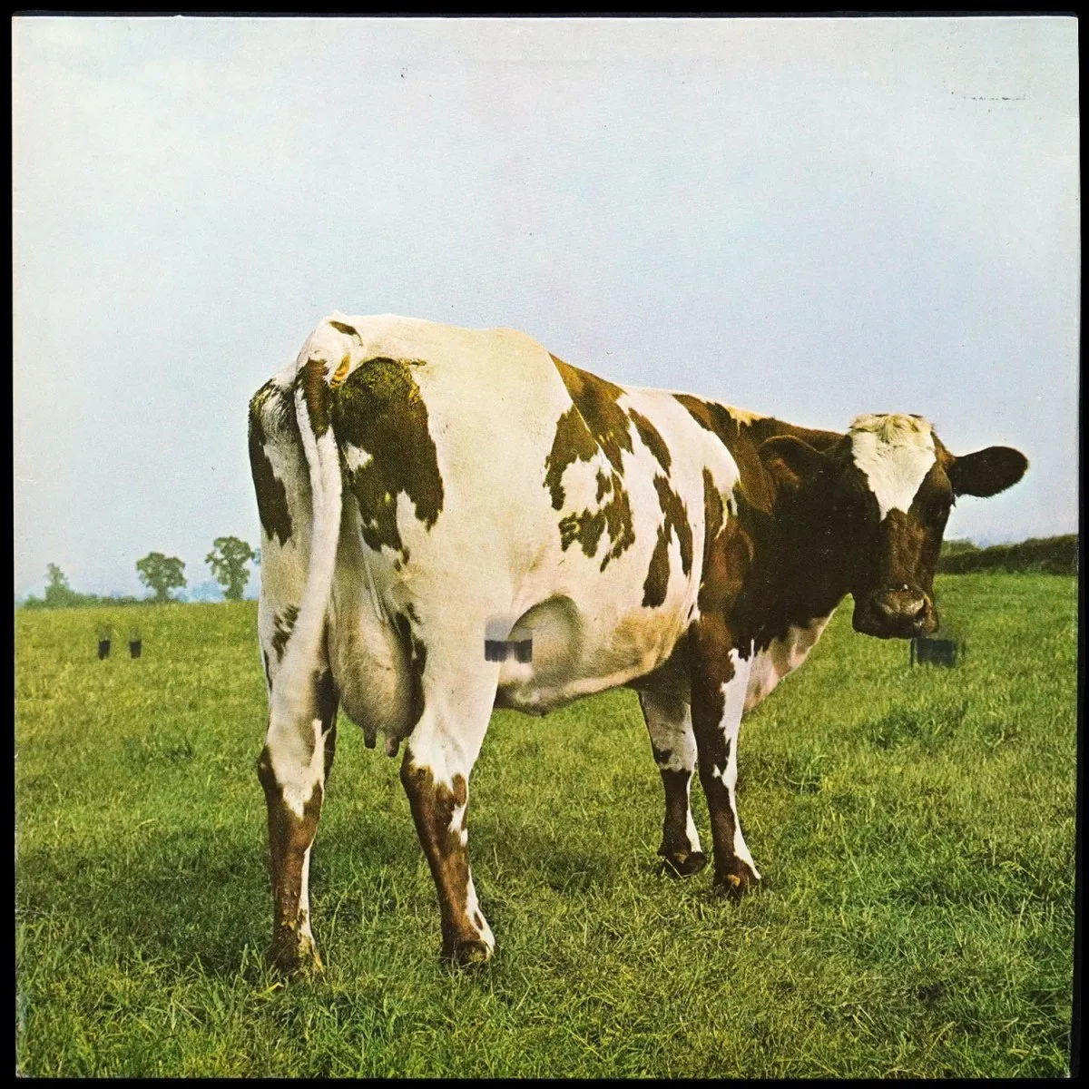 LP Pink Floyd — Atom Heart Mother фото