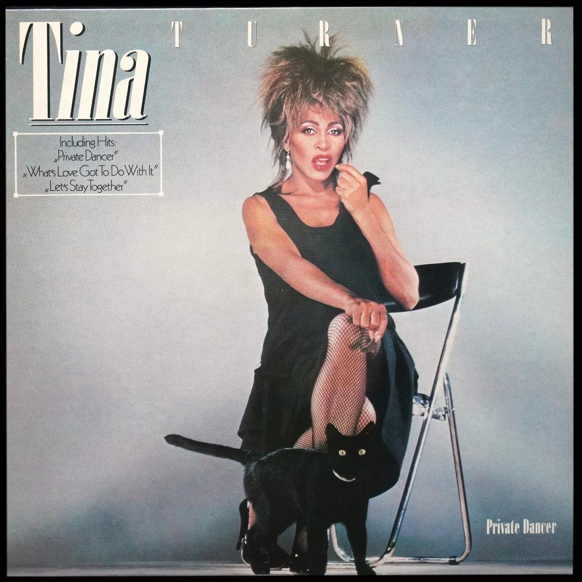 LP Tina Turner — Private Dancer фото