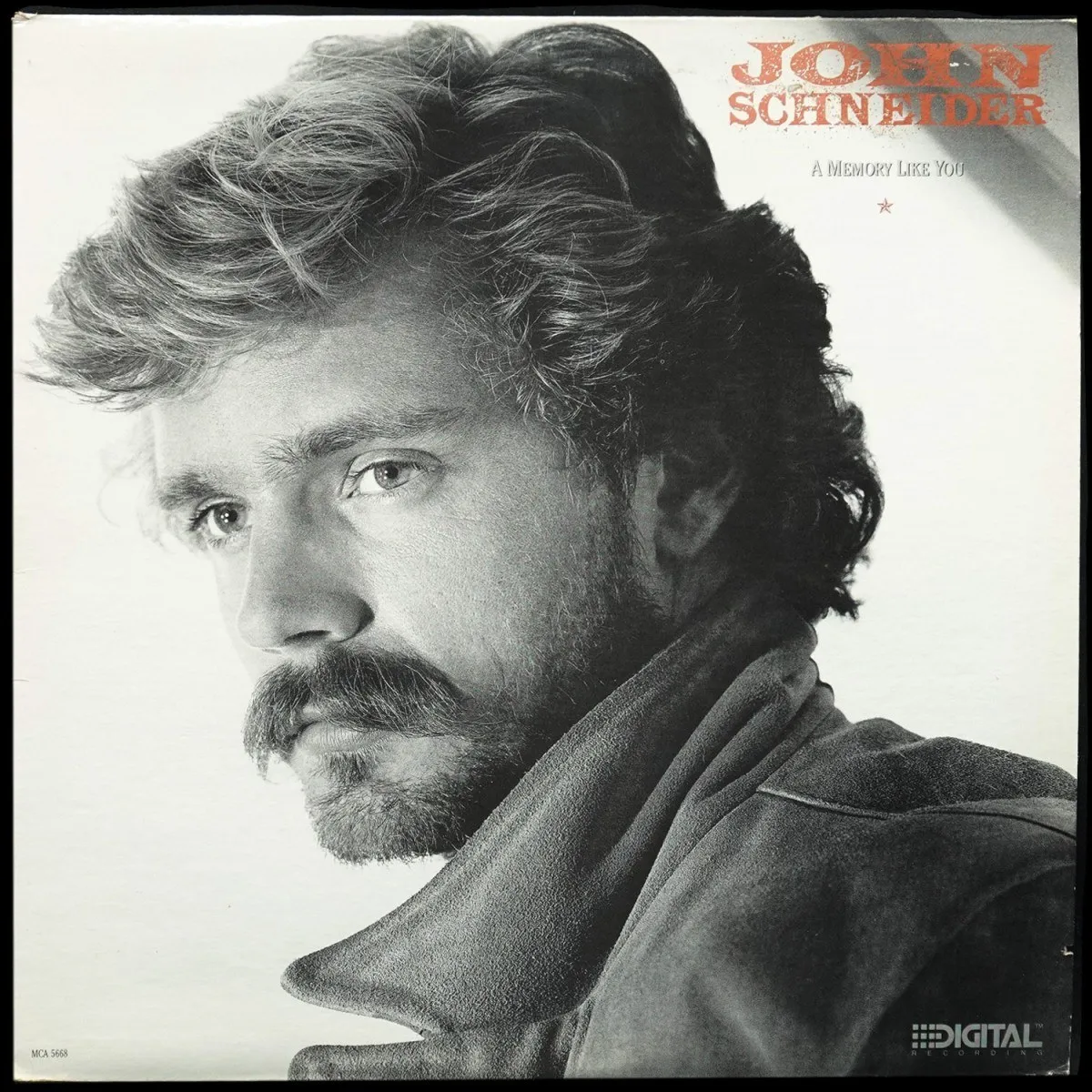 LP John Schneider — A Memory Like You фото