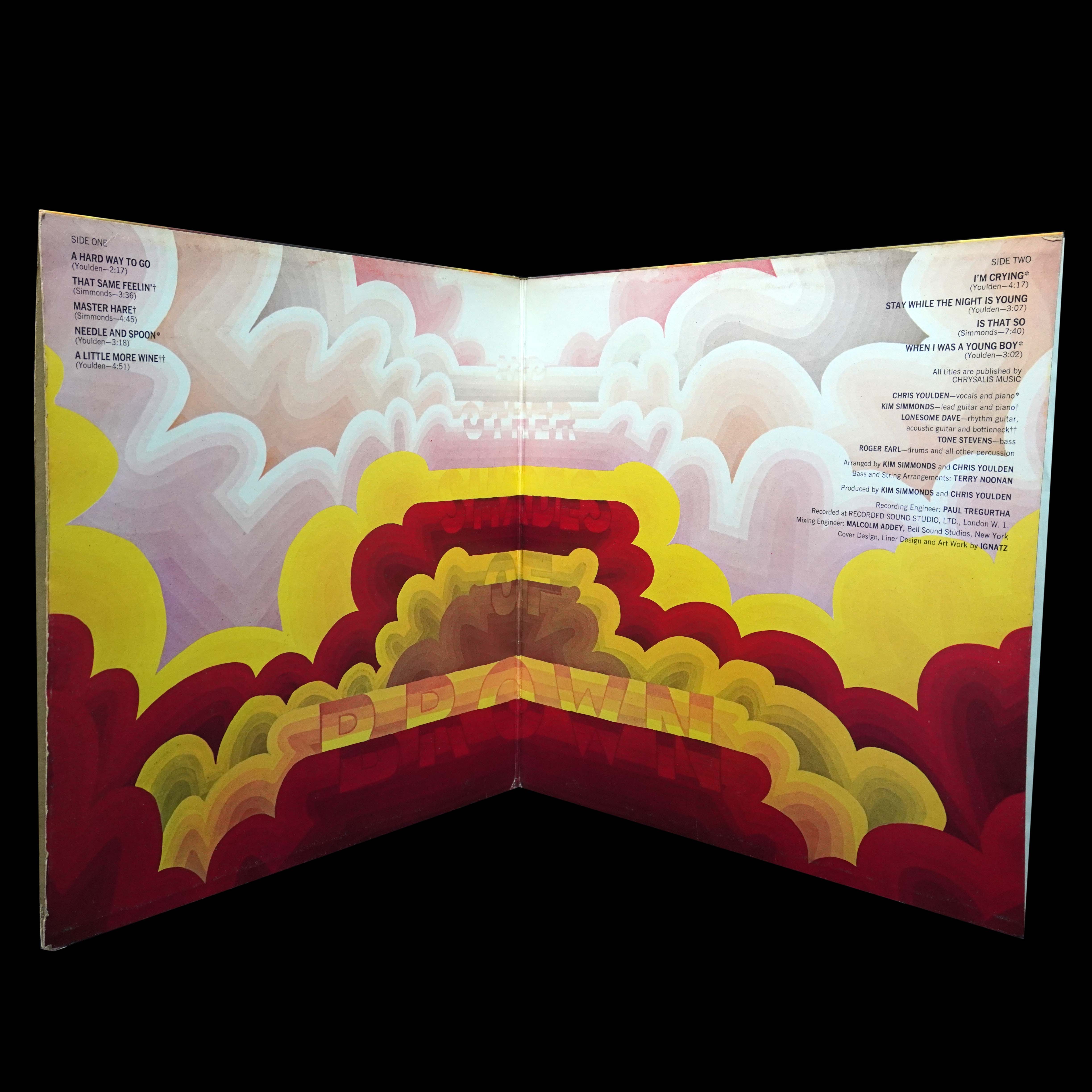 LP Savoy Brown — Raw Sienna фото 3