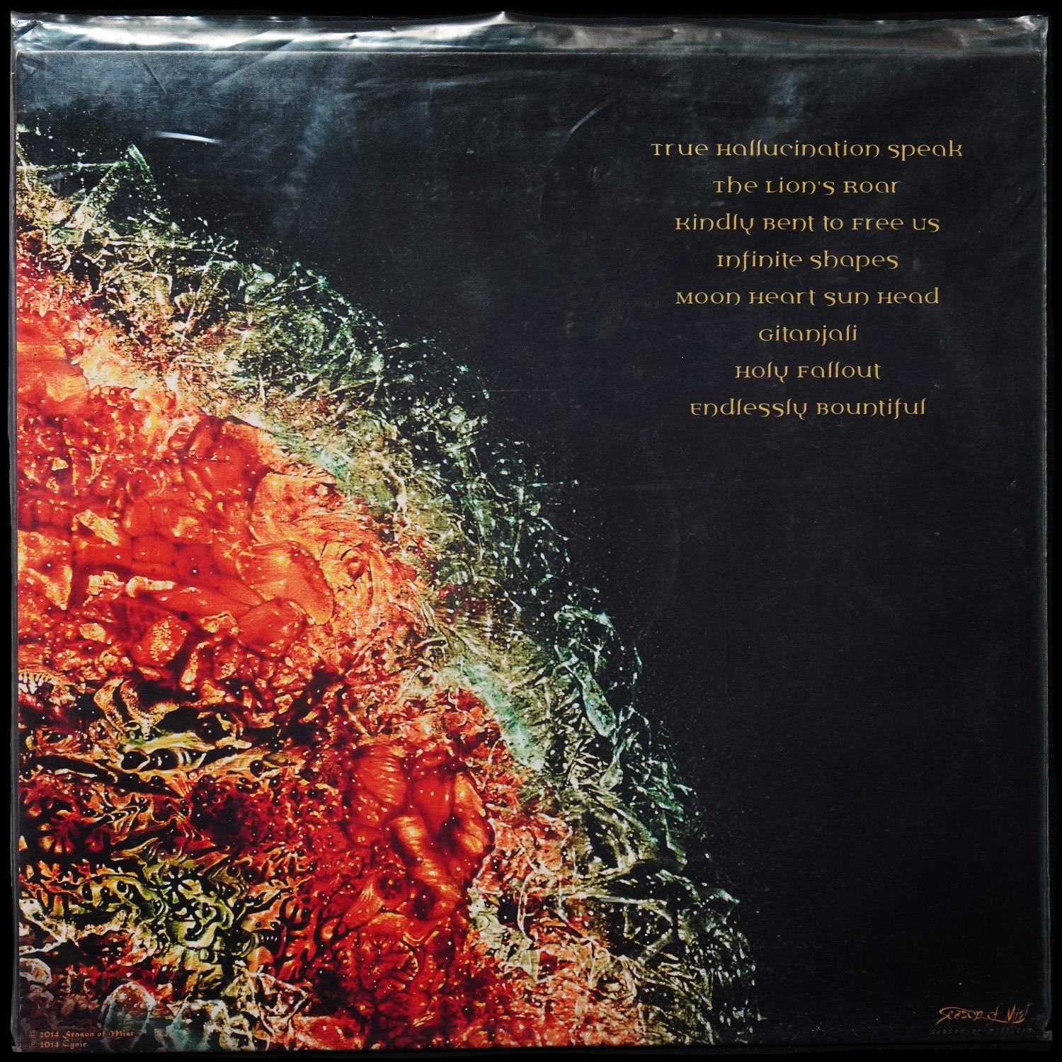 LP Cynic — Kindly Bent To Free Us (2LP, цветной винил) фото 2