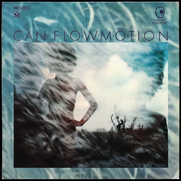 Flow Motion