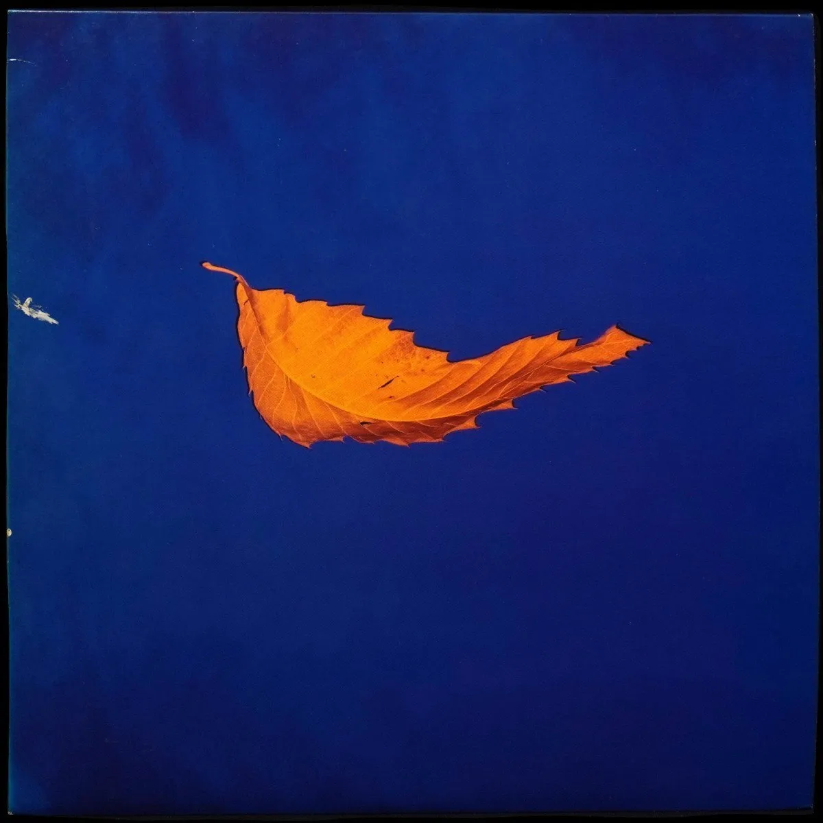 LP New Order — True Faith / 1963 (макси сингл) фото