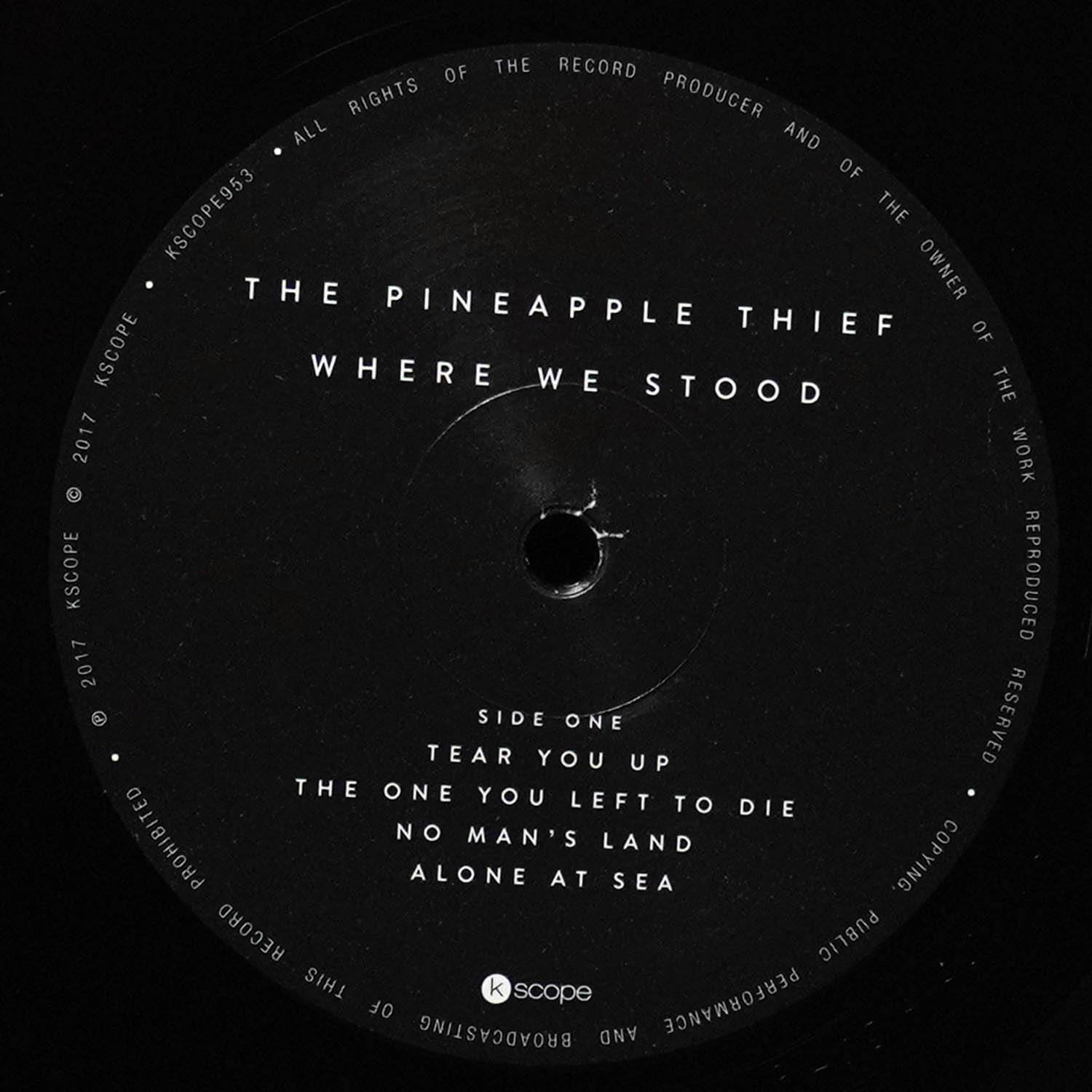 LP Pineapple Thief — Where We Stood (2LP) фото 3
