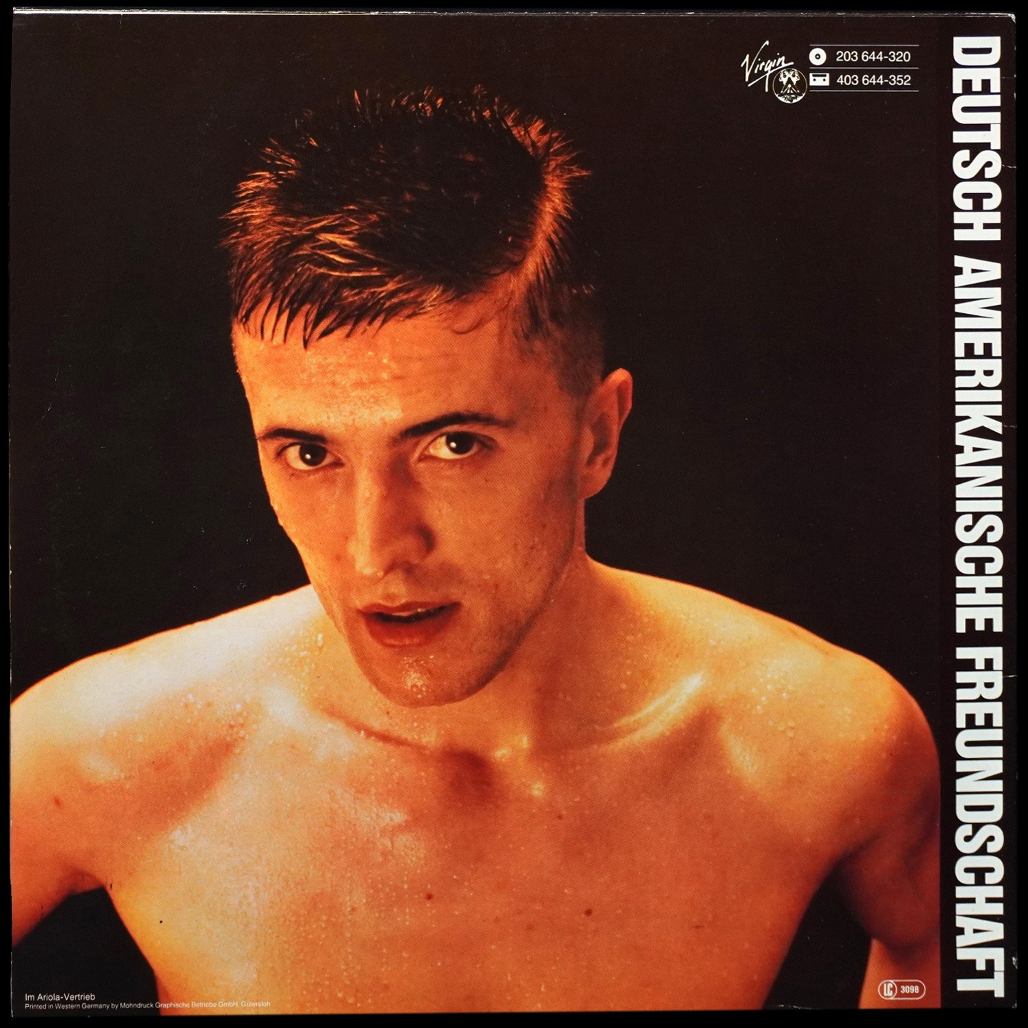 LP Deutsch Amerikanische Freundschaft — Alles Ist Gut фото 2