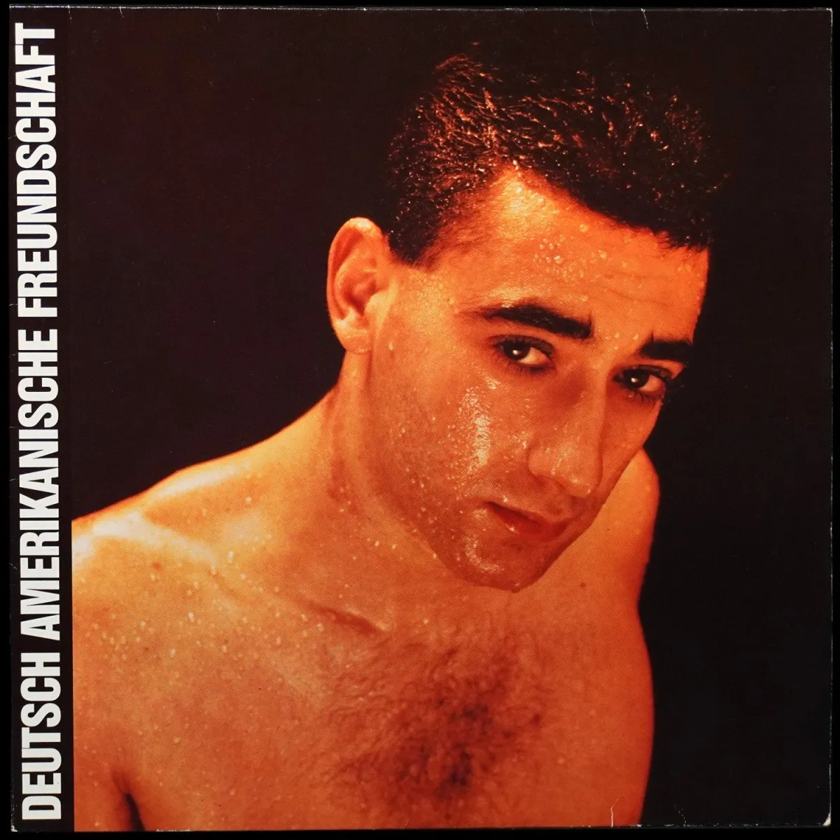 LP Deutsch Amerikanische Freundschaft — Alles Ist Gut фото