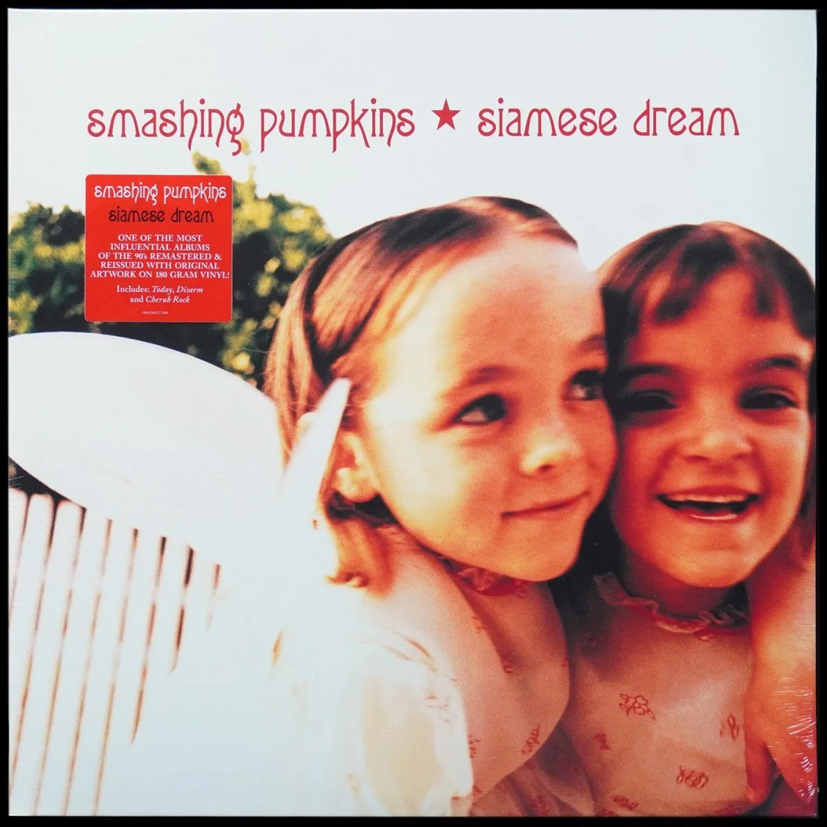 LP Smashing Pumpkins — Siamese Dream (2LP) фото