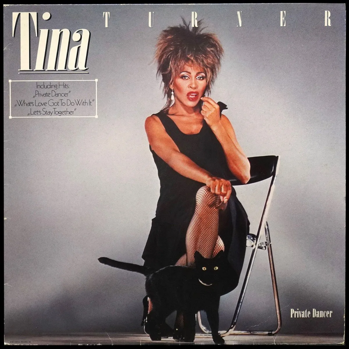 LP Tina Turner — Private Dancer фото