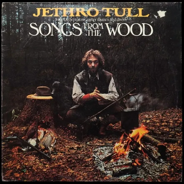 Songs From The Wood