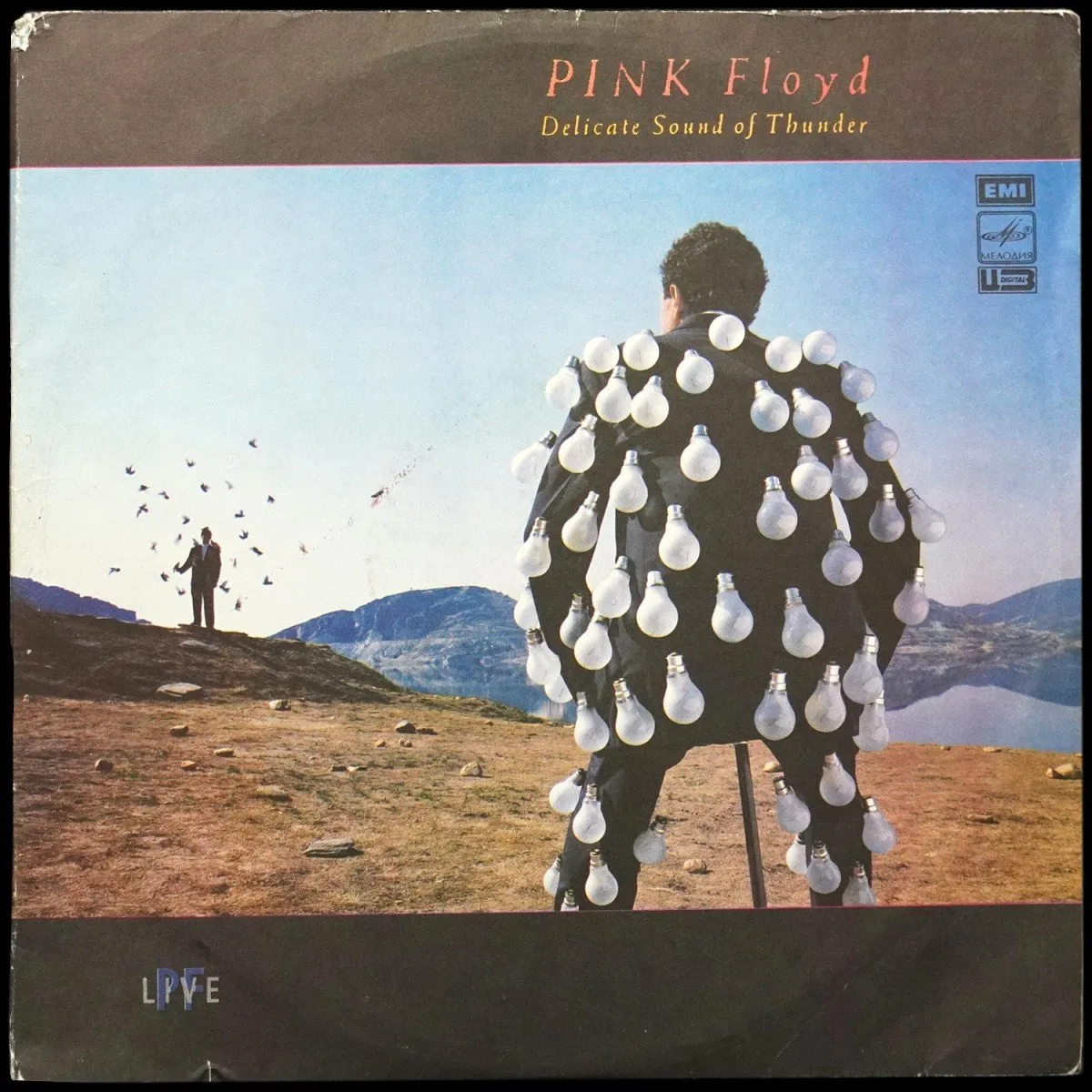 LP Pink Floyd — Delicate Sound Of Thunder (2LP) фото
