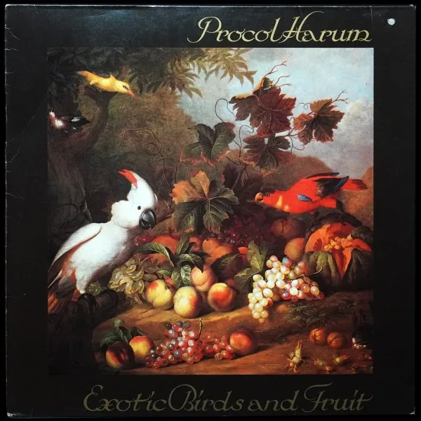 Exotic Birds And Fruit