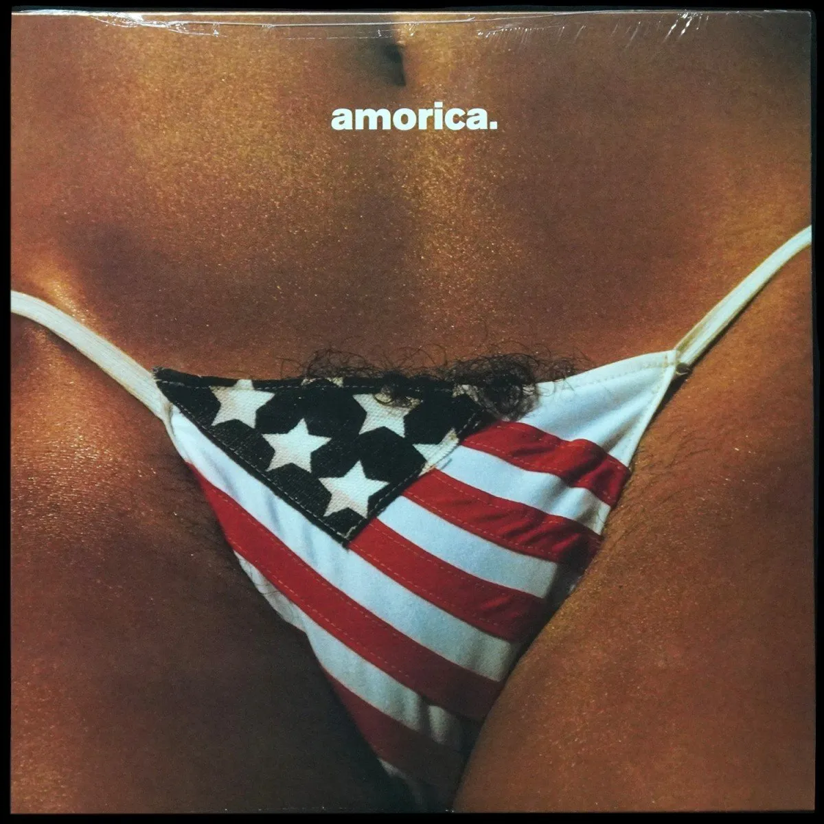 LP Black Crowes — Amorica. (2LP) фото