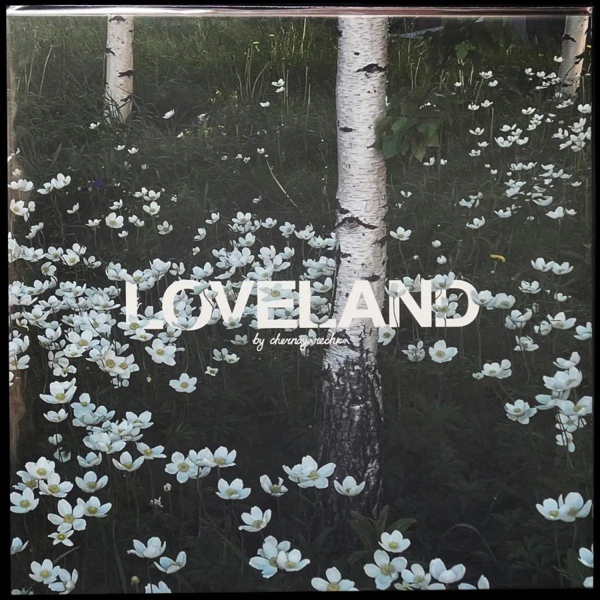LP Чёрная речка — Loveland фото
