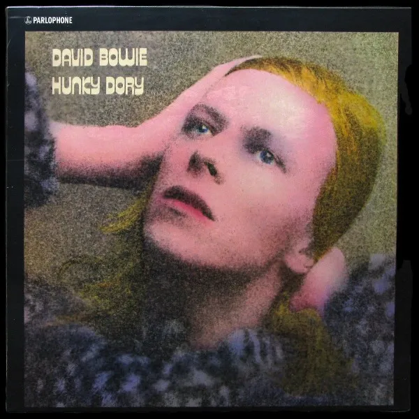 Hunky Dory