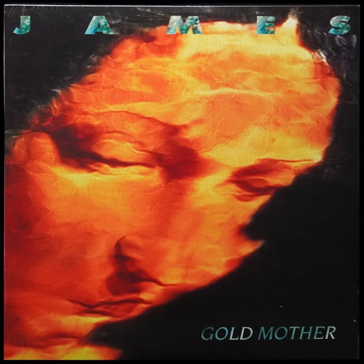 LP James — Gold Mother (2LP) фото