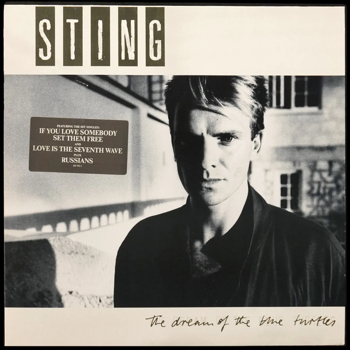LP Sting — Dream Of The Blue Turtles фото